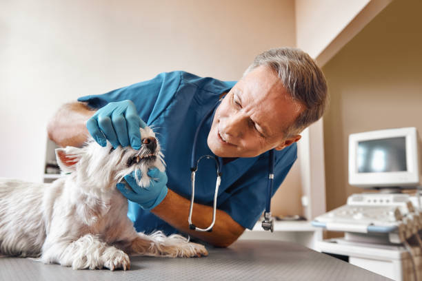 Best Pediatric Emergency Dentist in Glendale, OH